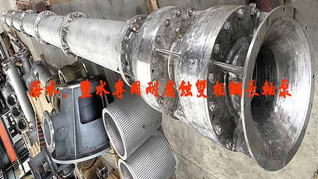立式雙相鋼長(zhǎng)軸泵